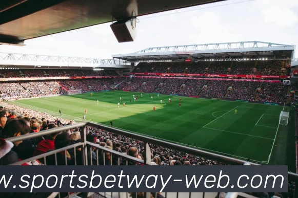 必威体育APP 体育赛事宣传图